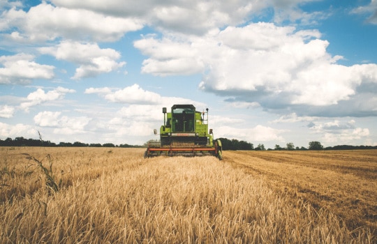 Secteur agricole