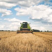 Secteur agricole