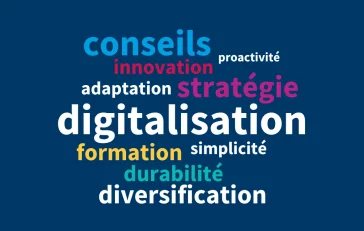 Extrait de la carte de voeux vidéo 2025 qui représente un nuage de mots avec les mots conseils, proactivité, innovation, adaptation, stratégie, digitalisation, formation, simplicité, durabilité et diversification