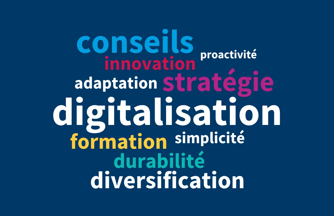 Extrait de la carte de voeux vidéo 2025 qui représente un nuage de mots avec les mots conseils, proactivité, innovation, adaptation, stratégie, digitalisation, formation, simplicité, durabilité et diversification